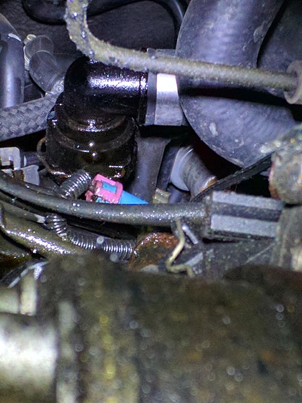Need help identifying a part - oil cooler hose fitting?-b5-a4-oil-leak.jpg
