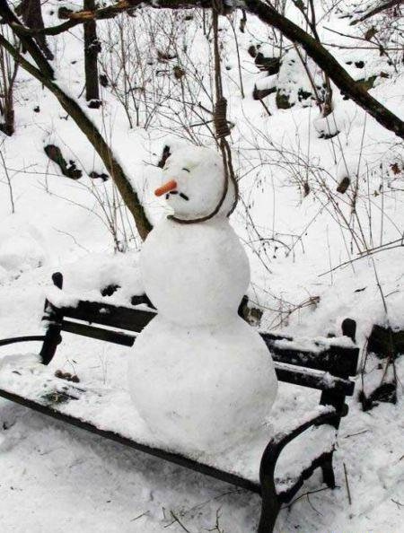 Name:  Snowman (3).jpg
Views: 292
Size:  115.9 KB
